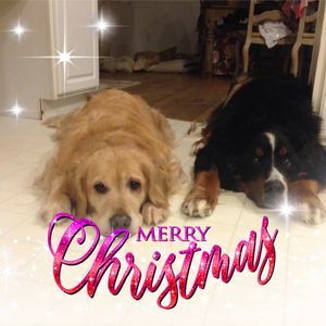 Meet your Posher, Doris